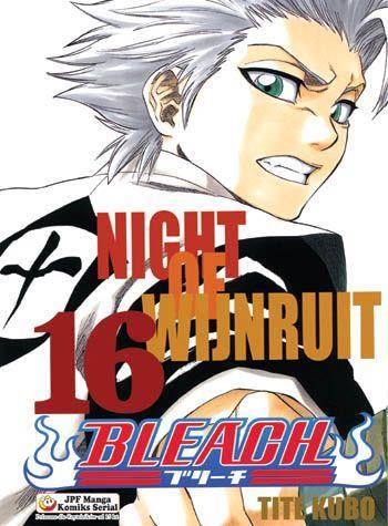 Bleach 16