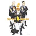 Silver Spoon 12