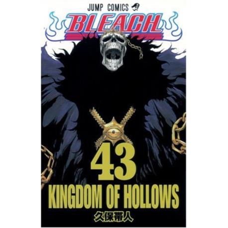 Bleach 43