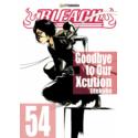 Bleach 54