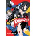 Durarara!! 11 Light Novel