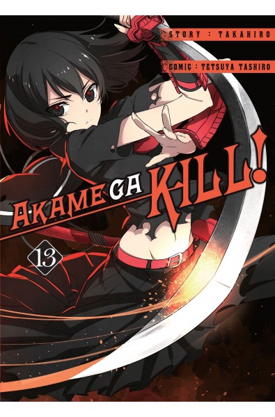 Akame ga kill! 13
