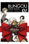 Bungou Stray Dogs 16-20 (pakiet)