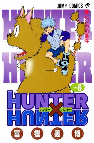 Przedpłata Hunter x Hunter 6
