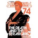 Bleach 74