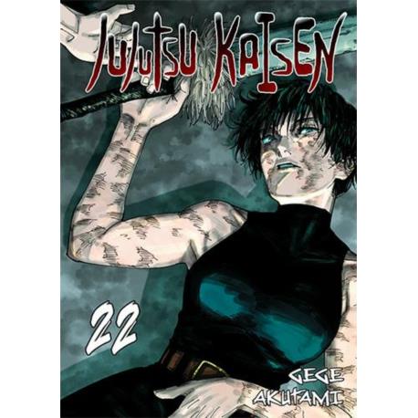 Jujutsu kaisen 22