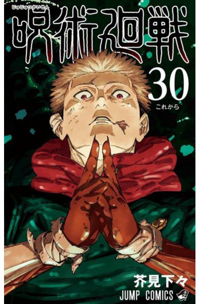 Przedpłata Jujutsu Kaisen 30