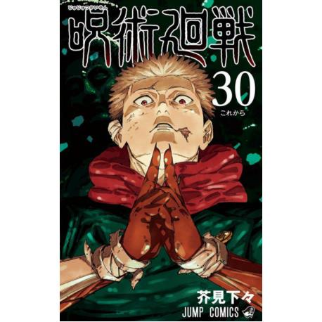 Przedpłata Jujutsu Kaisen 29