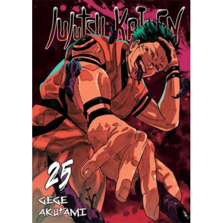 Jujutsu kaisen 25