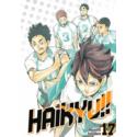 Haikyu!! 17