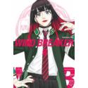Wind Breaker 09