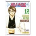 Bleach 12