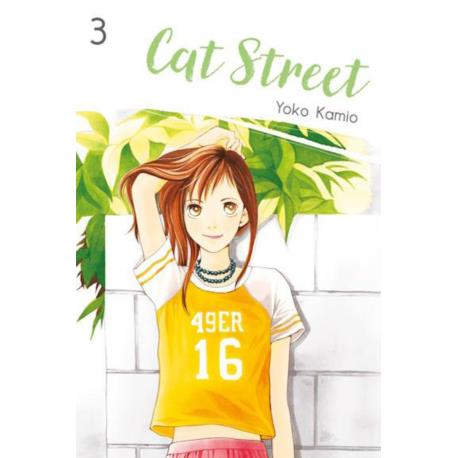 Cat Street 03