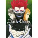 Black Clover 13