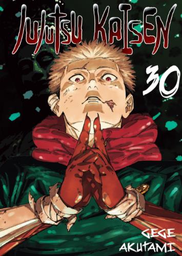 Jujutsu kaisen 30