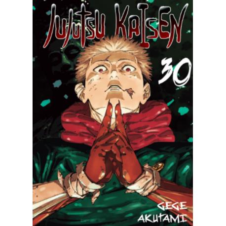 Jujutsu kaisen 30