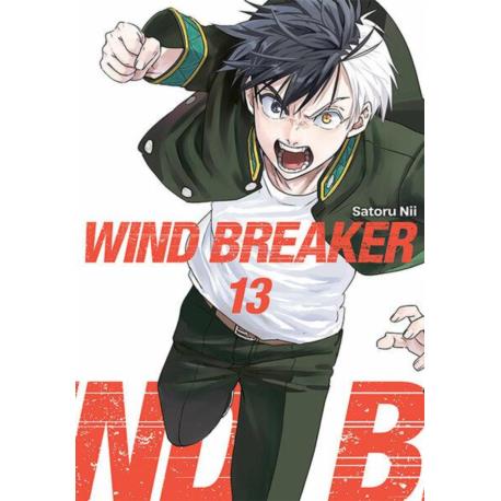 Wind Breaker 13