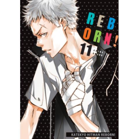 Katekyo Hitman Reborn 11