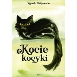Kocie kocyki