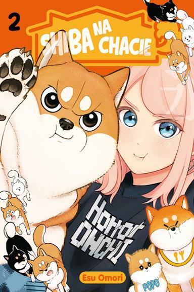Shiba na chacie 02