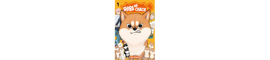 Shiba na chacie