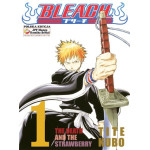 Bleach